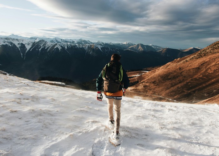 1761835760-pexels-toulouse-3604913 (1).jpg